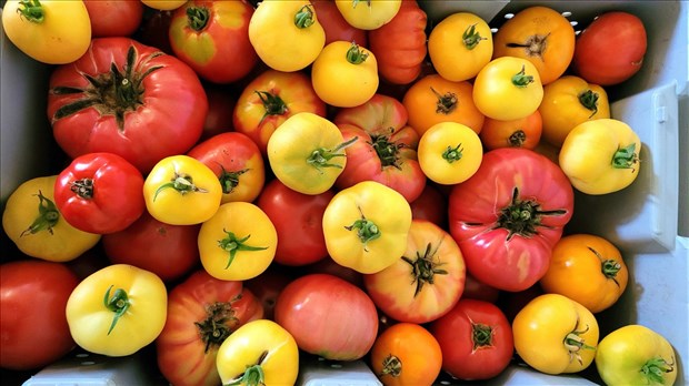 Un Marché des Saveurs sous la thématique des récoltes ce mercredi 