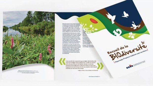 Salaberry-de-Valleyfield lance un recueil sur la biodiversité 