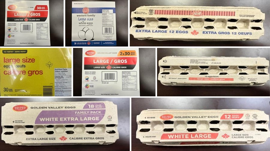 Salmonella-contaminated eggs recalled: several brands concerned