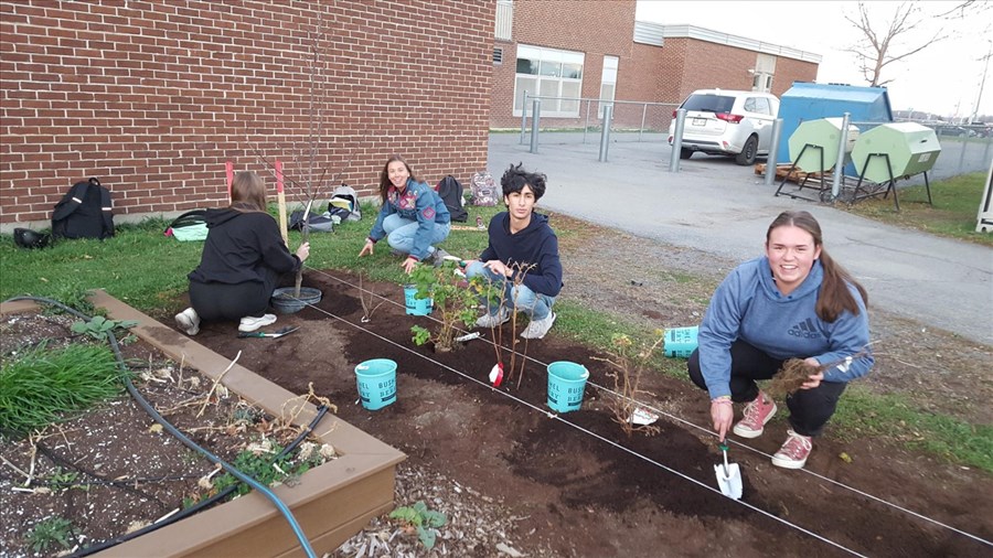 La Fondation de la Cité-des-Jeunes financera trois projets en 2025 