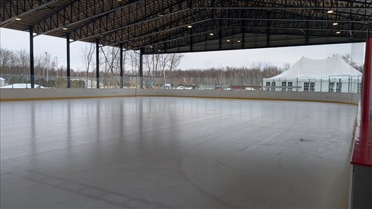 Ice hockey surface and pigeon-proof netting for refrigerated rink