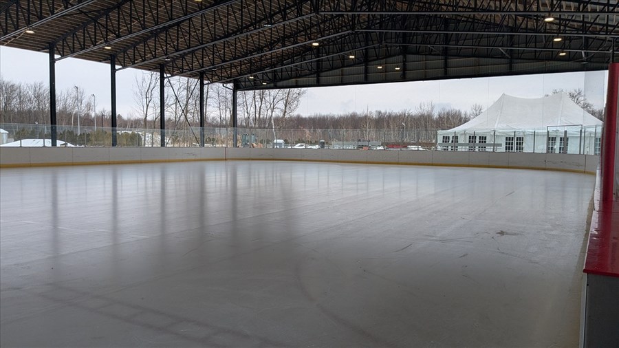 Ice hockey surface and pigeon-proof netting for refrigerated rink