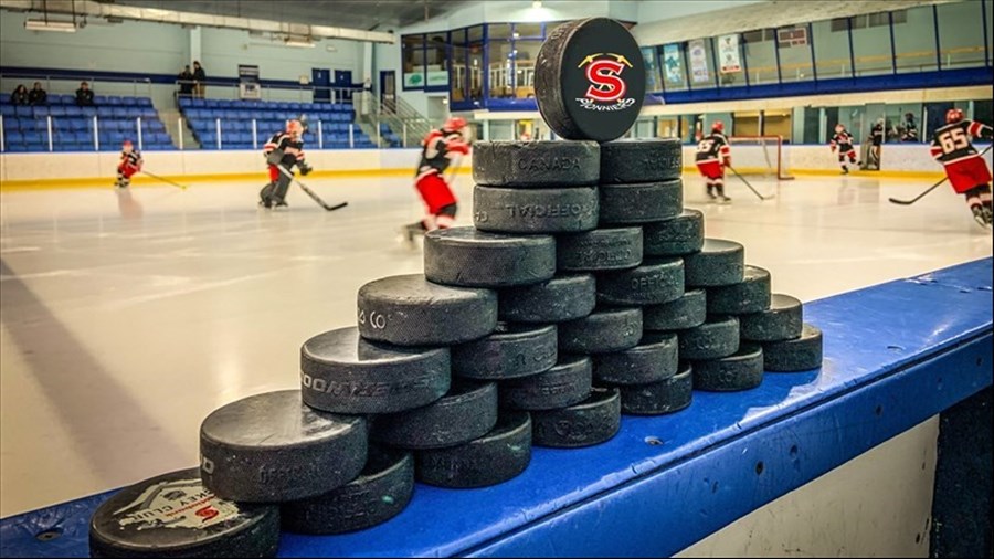 Approuvez-vous que le Québec désigne le hockey comme sport national?