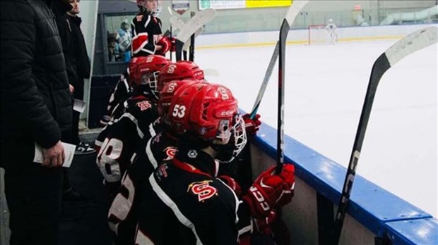 Designating ice hockey as a national sport: a good idea or not?