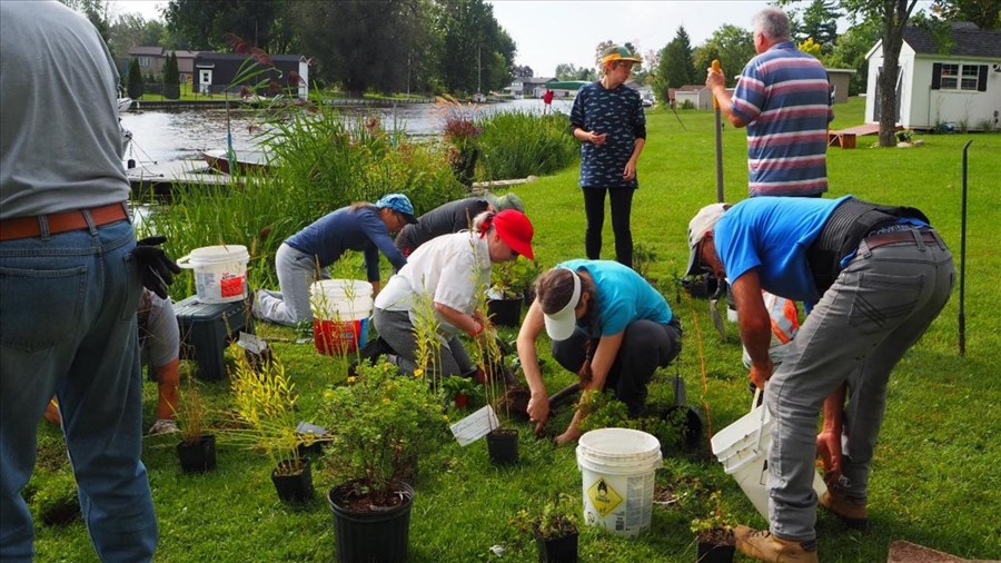 310 mètres de bande riveraine restaurée le long de la rivière Beaudette