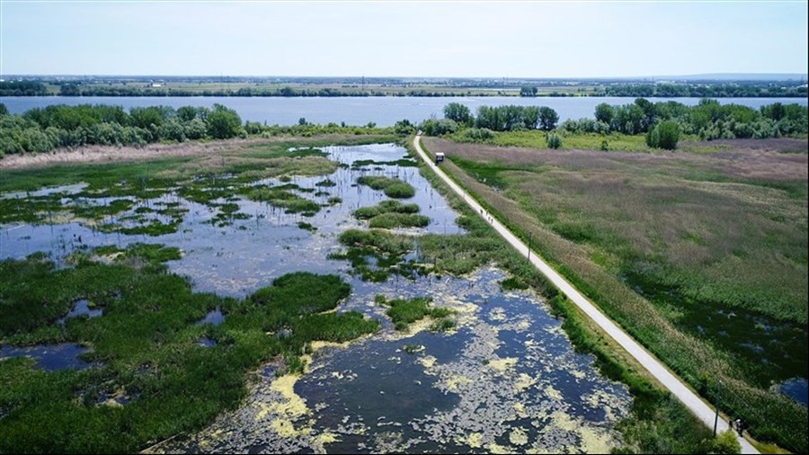 Appui de 349 887 $ pour développer l’accès à la nature  dans la région