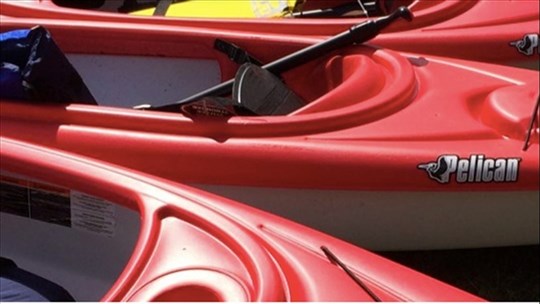 Le Festival Nautique revient en force pour une cinquième édition