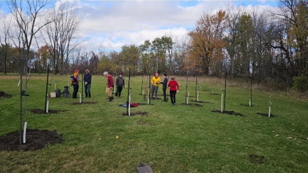 Le Comité ZIP aidera à revaloriser le  parc de l'Île-des-Patriotes