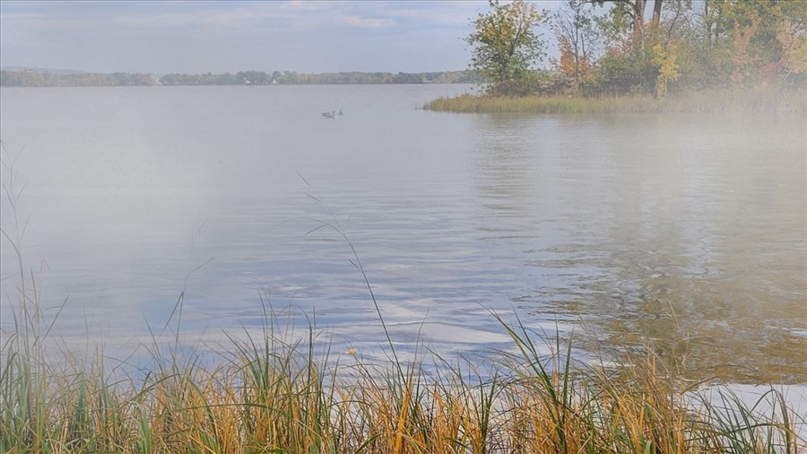 Qualité de l’air dégradée : la fumée des feux de forêt atteint la région