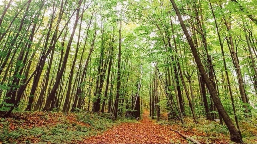 Hudson adopte un Plan de conservation des milieux naturels 