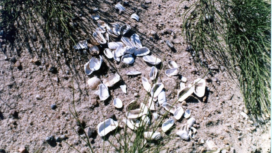 Vous êtes présentement sous l’eau