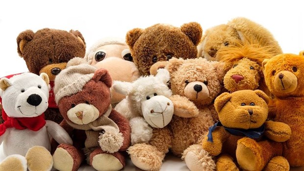 Journée spéciale pour les peluches à la bibliothèque de Saint-Stanislas-de-Kostka 