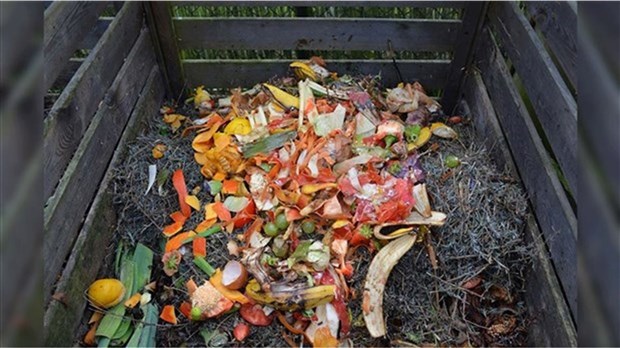 Le compostage domestique au cœur de dernier Rendez-vous citoyens du printemps 2018  