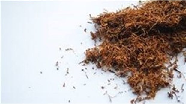 Deux citoyens de Beauharnois écopent d’amendes salées pour contrebande de tabac 