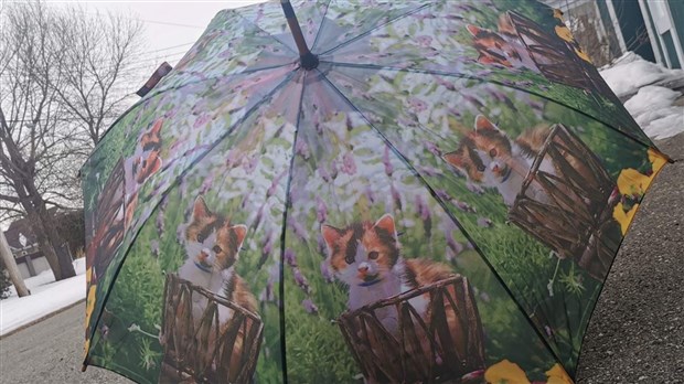 Pluie, probabilité de verglas et vents forts attendus demain