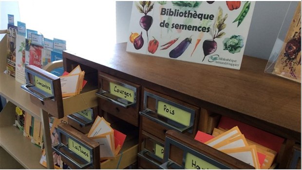 Visitez la bibliothèque de semences pour faire grandir votre passion pour le jardinage 